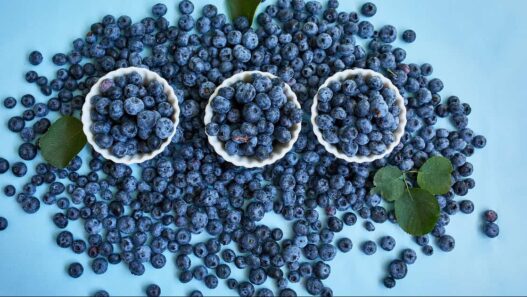 can blueberries cause diarrhea