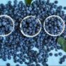 can blueberries cause diarrhea