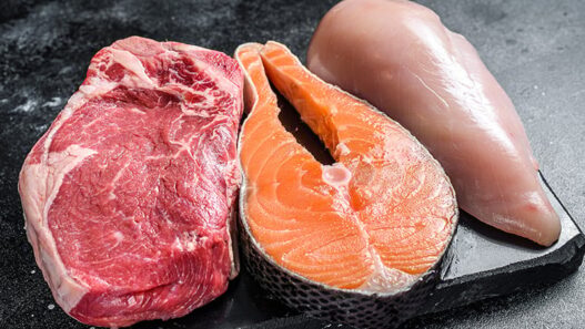 Carnivore Diet