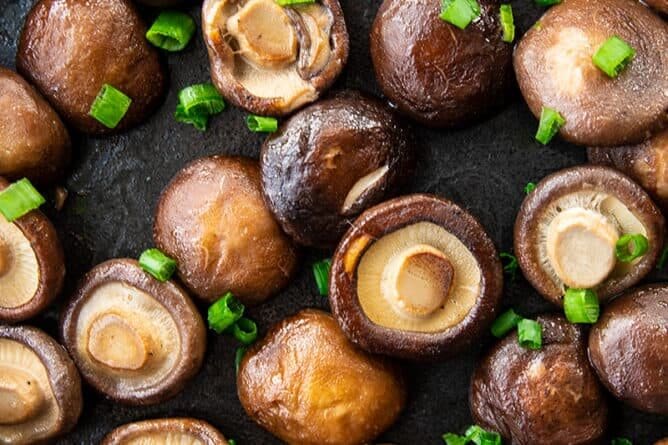 shiitake mushroom side effects